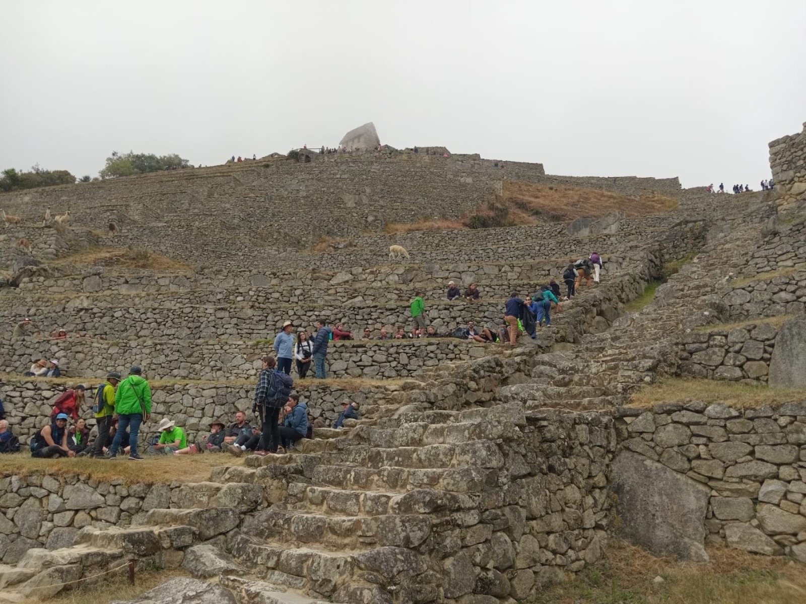 Turistas ingresan con normalidad a Machu Picchu y parques arqueológicos alternos de Cusco