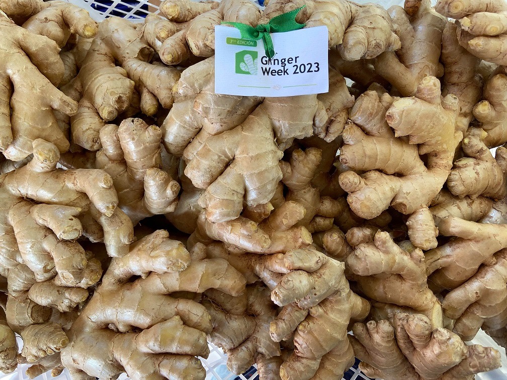 Perú con potencial para  exportar más kion y cúrcuma