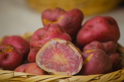 Áncash: certifican a papa nativa de Huayllabamba como Buena Práctica en Gestión Pública