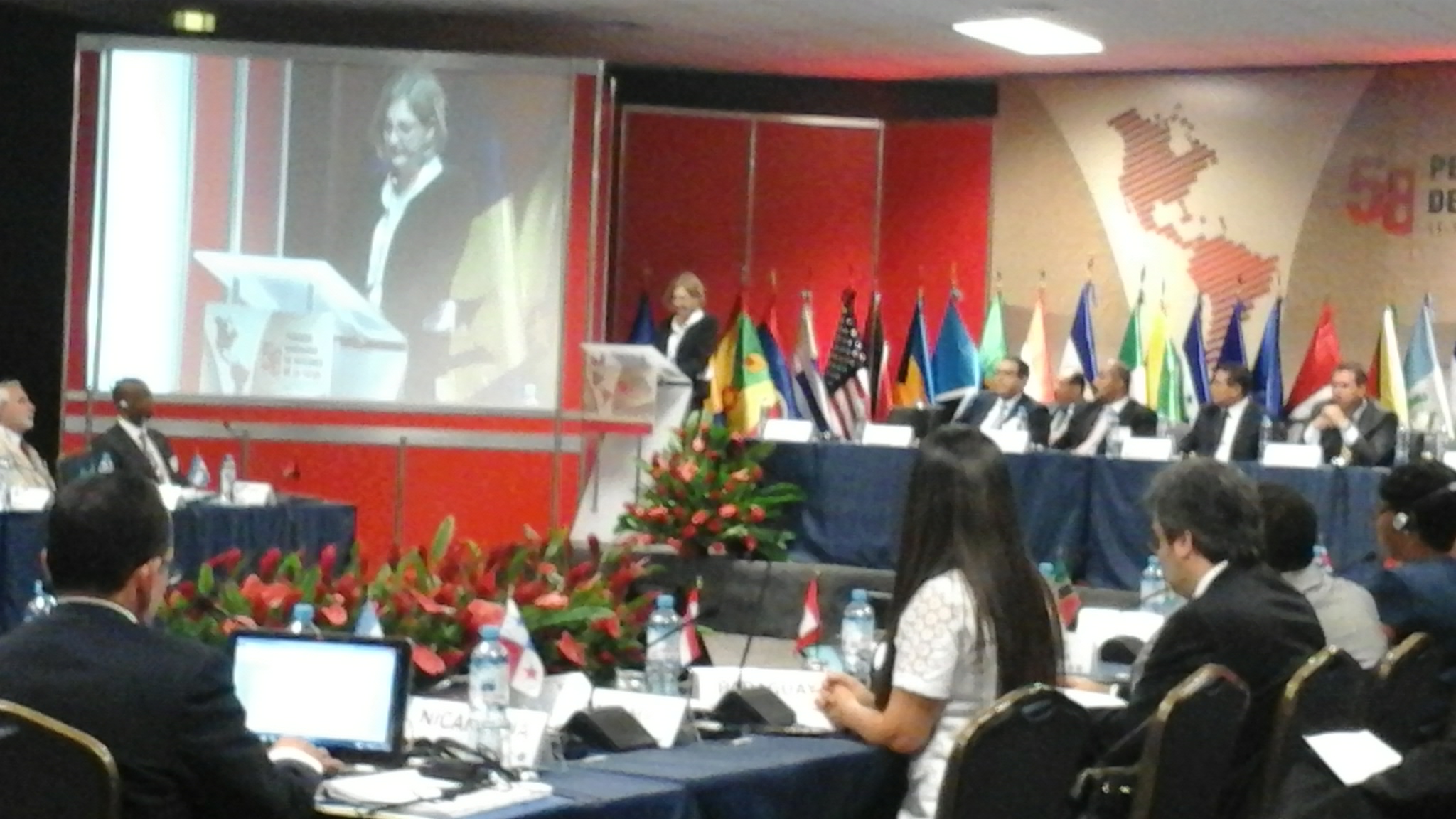 Erradican 100 000 hectáreas de hoja de coca en el país