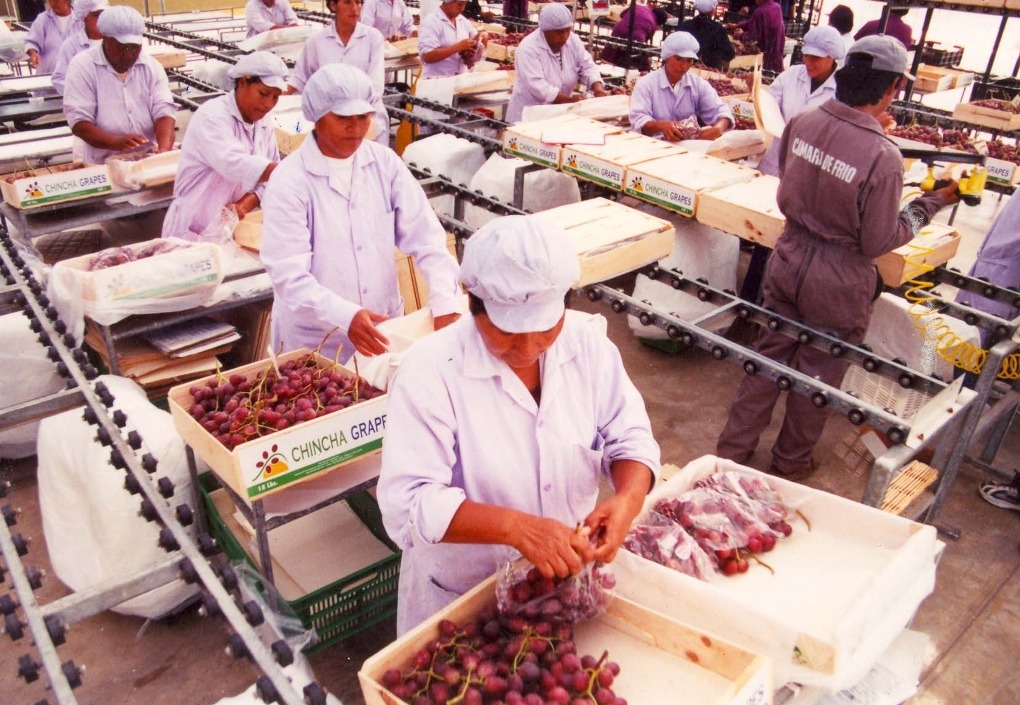 Adex proyecta crecimiento de agroexportaciones peruanas de 7.4% para el 2023