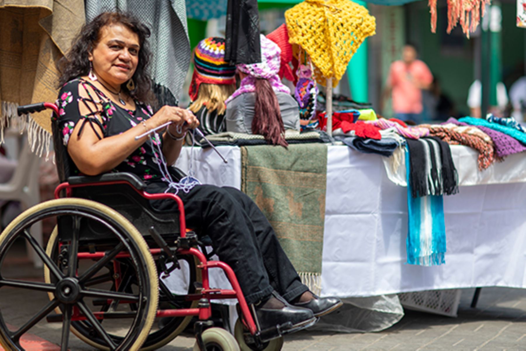 Comisión de Inclusión Social aprueba 43 dictámenes durante período 2023-2024