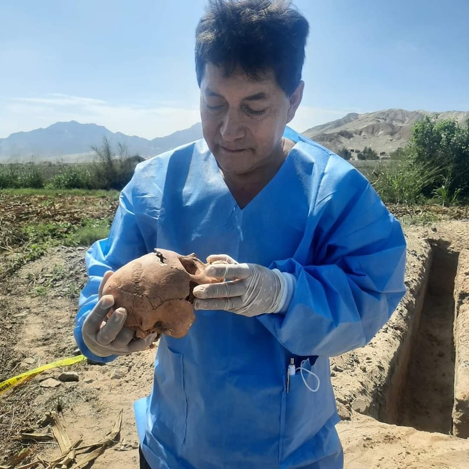 Hallan restos fósiles humanos que podrían ser de una menor desaparecida