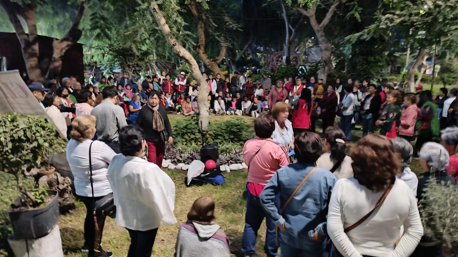 Más de 200 abuelitos celebran su día en el jardín Botánico