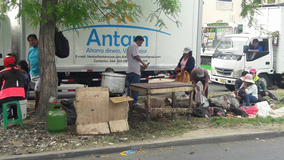 Trujillo: retiran a ambulantes que vendían aves en avenida Vallejo