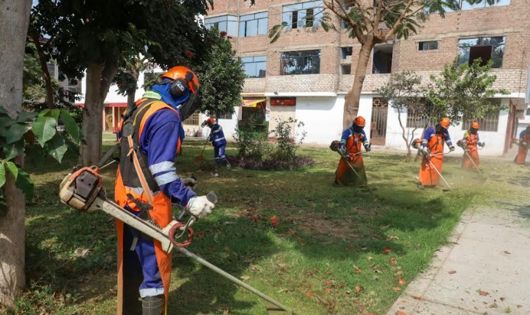 Intensifican poda de árboles y corte de grass en parques y avenidas de Trujillo