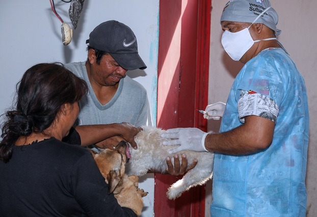 Municipalidad realiza campaña de vacunación gratuita de mascotas hasta este 29 de marzo