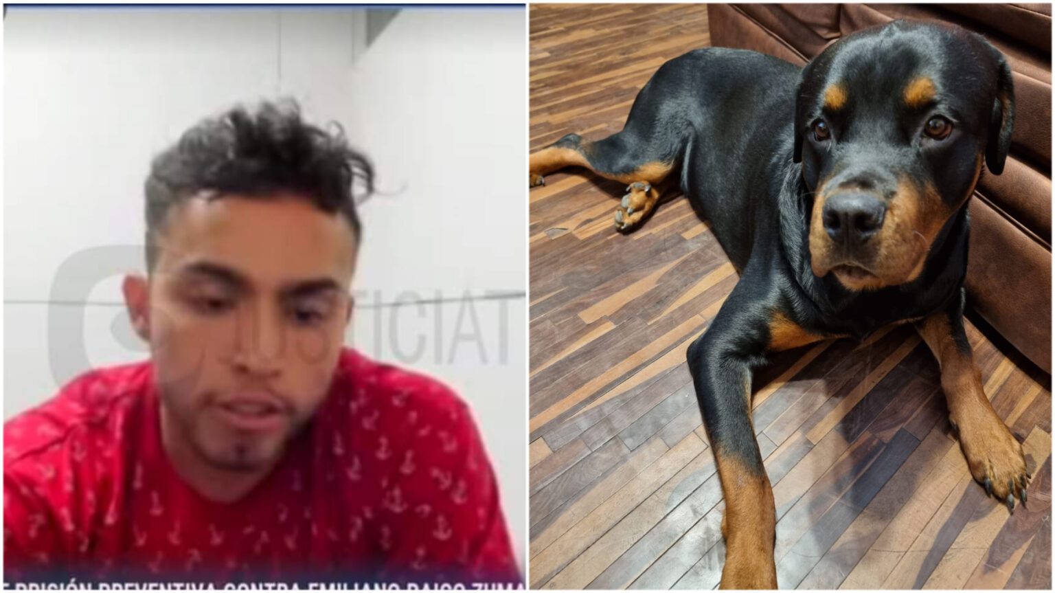 Dejan en libertad a sujeto que asesinó a balazos a perro rottweiler