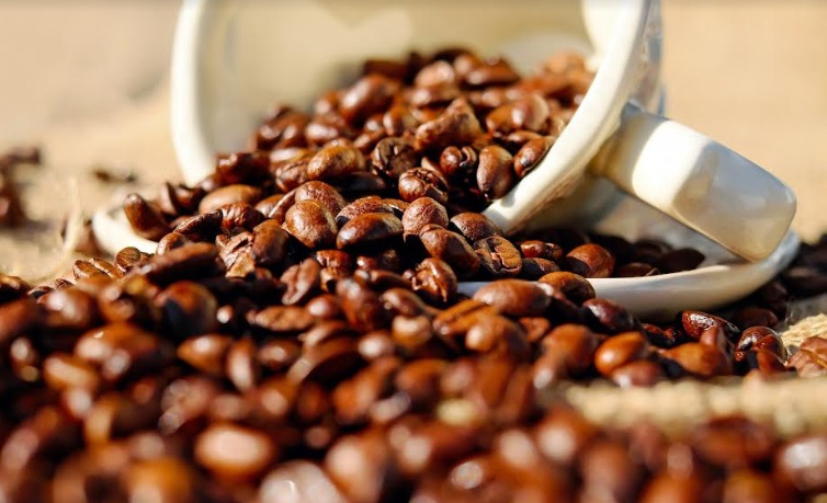 Oferta agroexportable peruana llegó a 135 mercados a noviembre del 2023