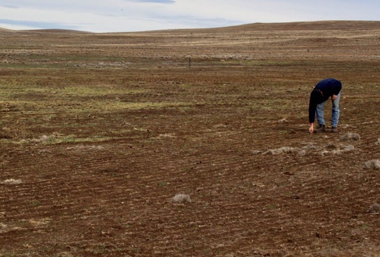 Declaran en emergencia 131 distritos de nueve departamentos por peligro de déficit hídrico