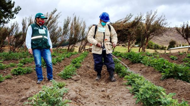 AgroRural anunció inicio de nuevo proceso internacional para compra de fertilizantes