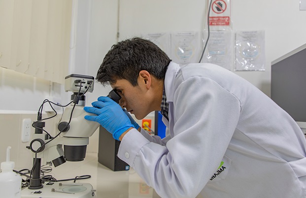 Australia ofrece becas para estudiar maestrías en ingeniería y en ciencias