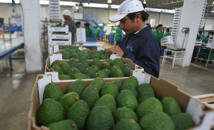 Exportaciones peruanas no tradicionales sumaron US$ 18,468 millones en el 2023