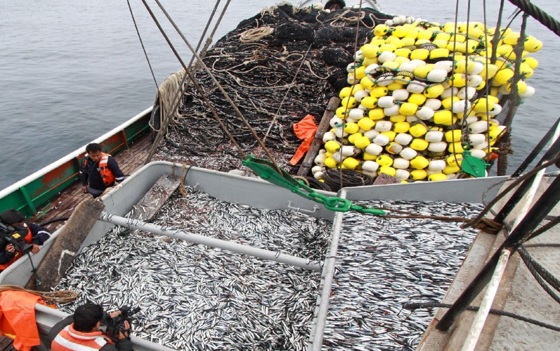 Primera temporada de pesca podría iniciar a fines de mayo