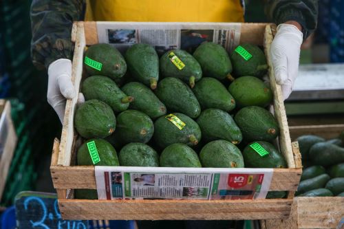 Estos son los 10 principales productos agrícolas de exportación del Perú