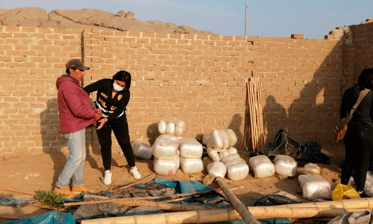 Sujeto escondía más de 100 kilos de marihuana en inmueble de Huanchaco 