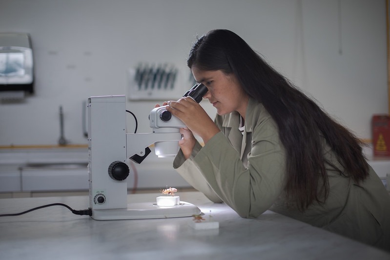 Beca Mujeres en la Ciencia preseleccionó a 604 escolares del quinto de secundaria 