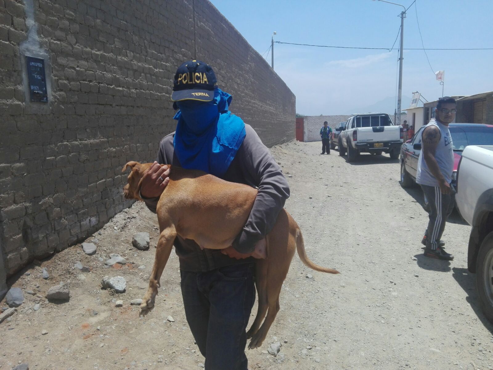 Huanchaco: hallan 41 canes que serían usados en peleas clandestinas