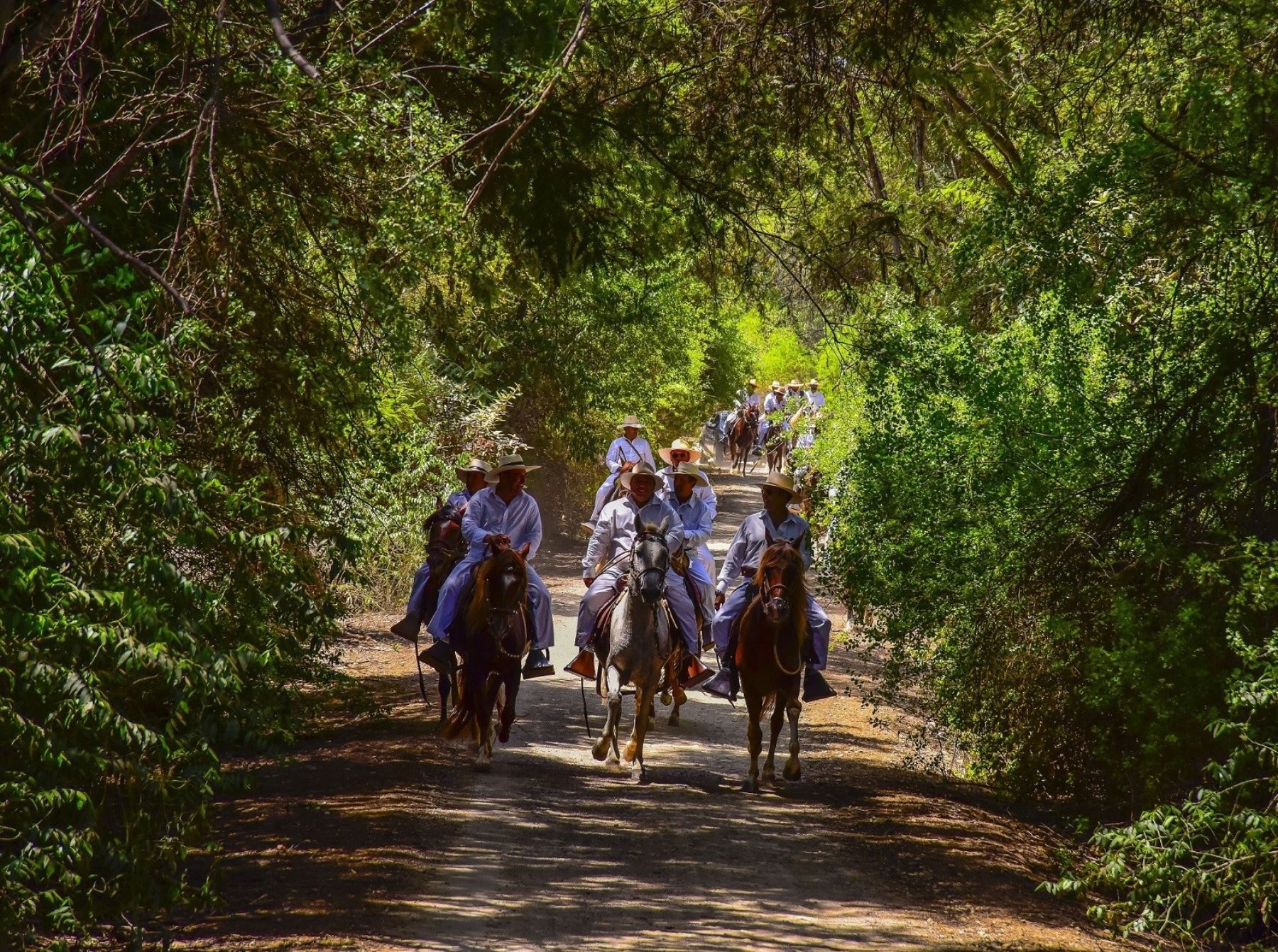 Turismo sostenible en Áreas Naturales Protegidas genera S/ 800 millones anuales