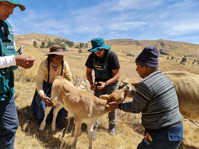 En el 2022 Senasa ejecutó el 96.2% de su presupuesto asignado por el MEF 