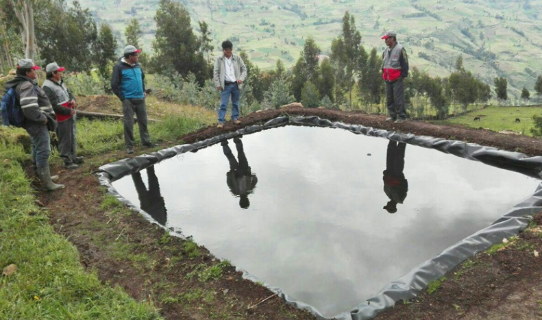 Negocios rurales generan oportunidades económicas a 400 familias en Agallpampa