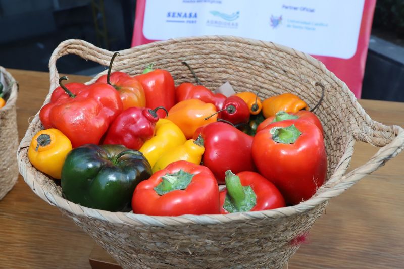 Despachos de capsicum peruano crecieron 11% entre enero y mayo