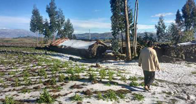 La Libertad: granizo sepulta cultivos en Otuzco y Julcán