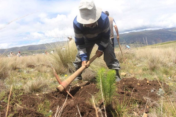 Ley agraria: estos son los puntos claves del texto aprobado por el Congreso