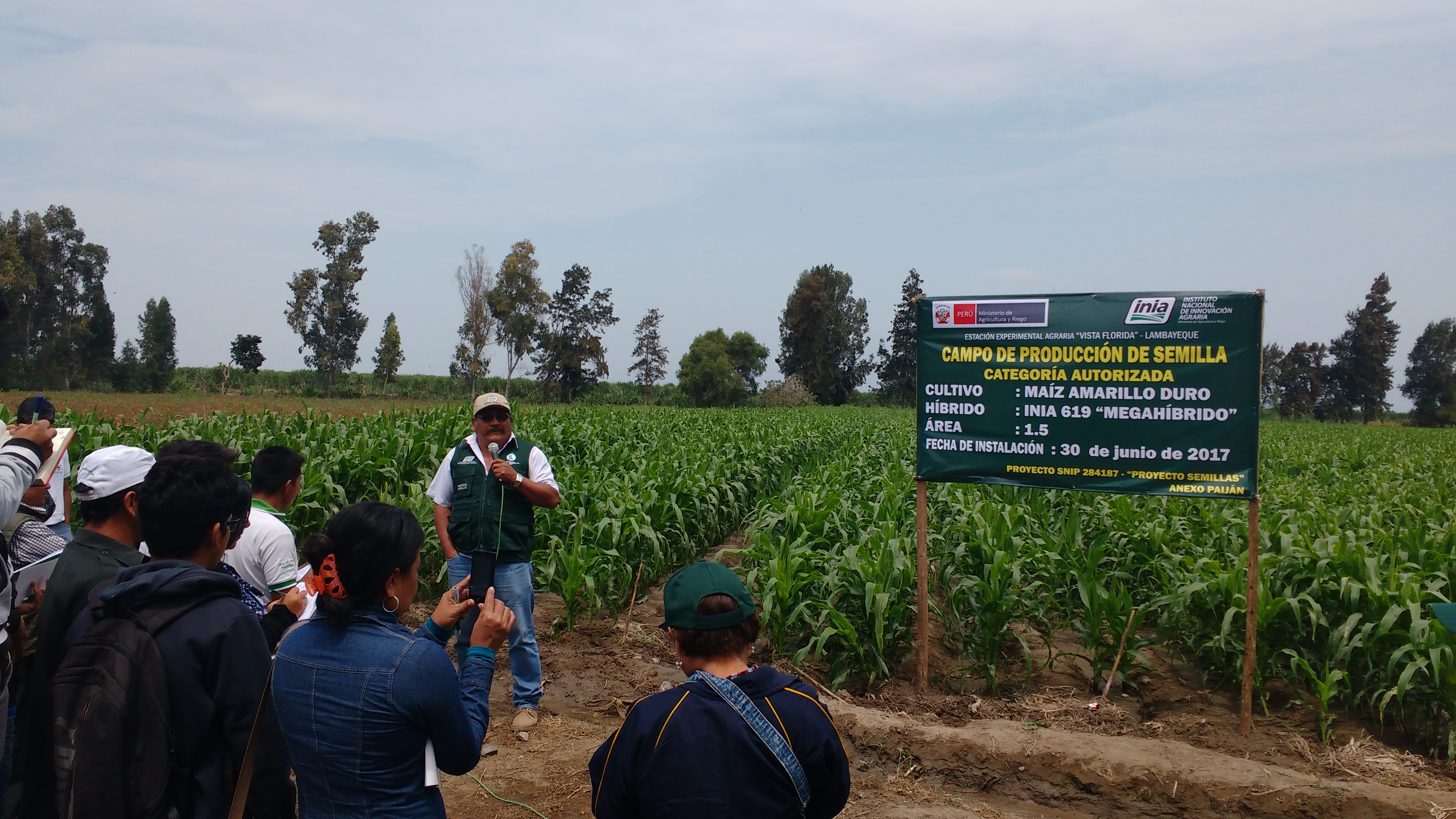 La Libertad: capacitarán a agricultores en cultivo de maíz de alto rendimiento