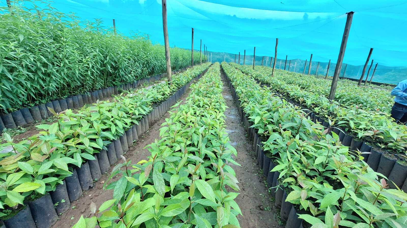 INIA impulsa la productividad y sostenibilidad de pequeños y medianos agricultores del país