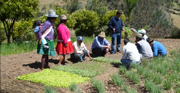 Agrobanco asegura que tiene capacidad financiera para seguir aportando al desarrollo del sector