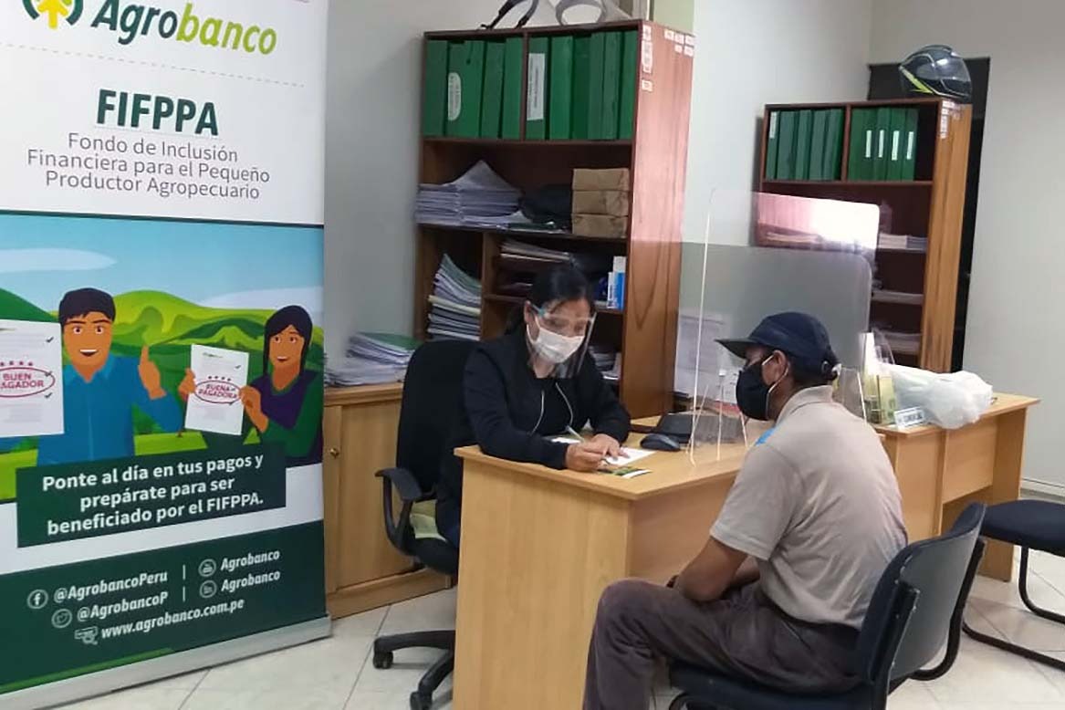 Más de 286 mil agricultores accedieron a créditos de Agrobanco, generando miles empleos en el campo