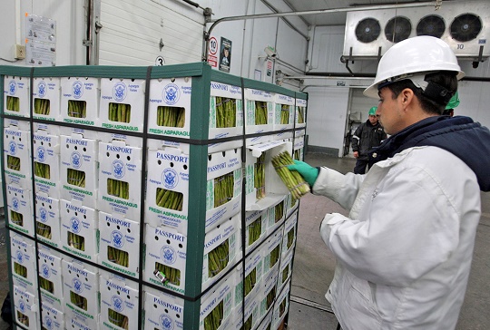 Agroexportaciones desde Chavimochic crecieron en 29% en el 2017