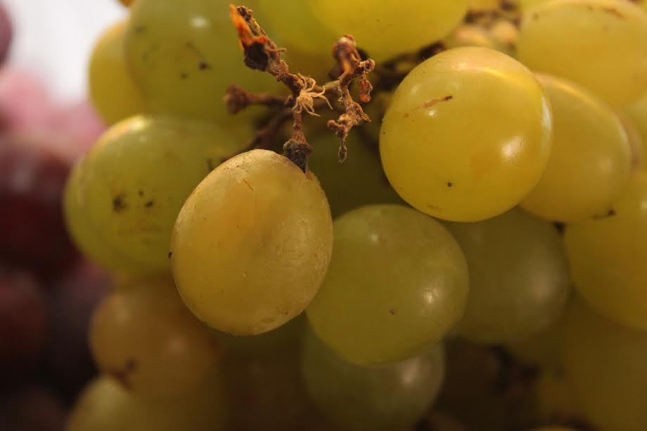 La Libertad lidera producción de Puro de Uva en el norte, se informó