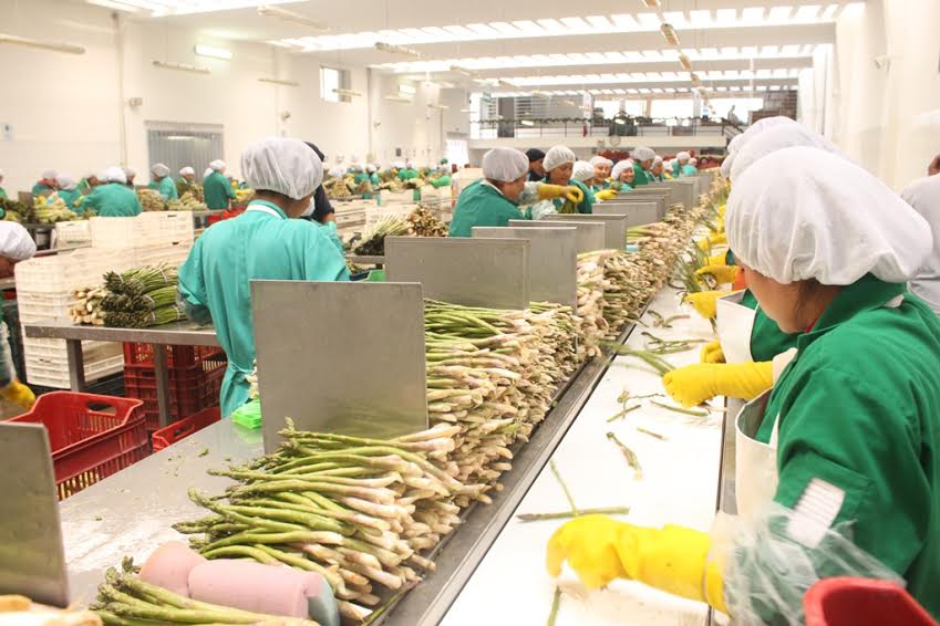 Trujillo, Ica y Arequipa lideran la generación de puestos de trabajo formales