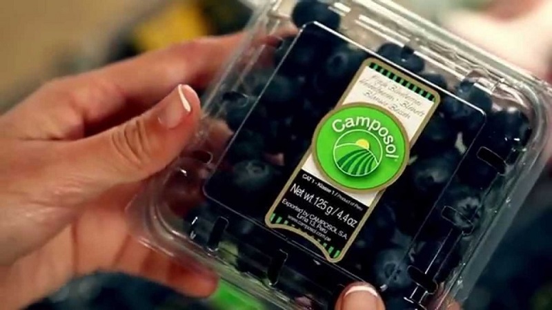 Adex: agroexportaciones peruanas cayeron -2.8% entre enero y julio