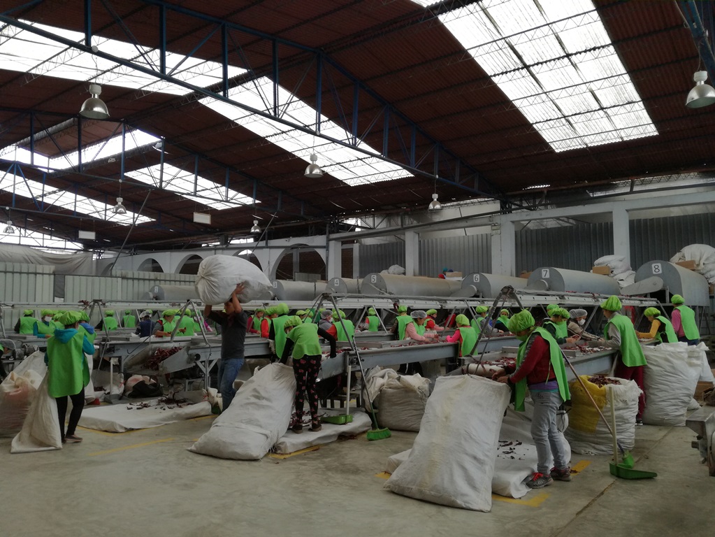 Agroindustria fue el sector que capitalizó más el TLC con la Unión Europea