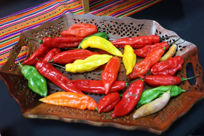 Ministerio de Cultura lanza plataforma digital "Legado Bicentenario" preservando la memoria de la Independencia del Perú