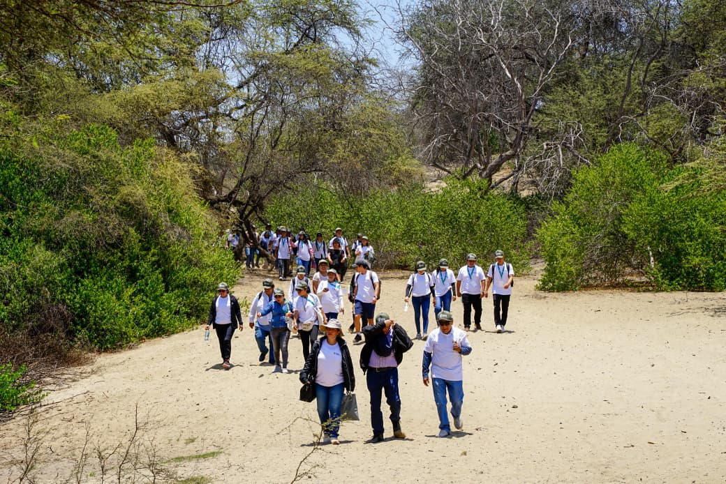 Impulsan conservación de bosques secos con siembra de algarrobos en El Cañoncillo 