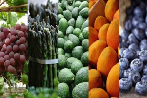 Oro y arándanos lideran las exportaciones en la región La Libertad