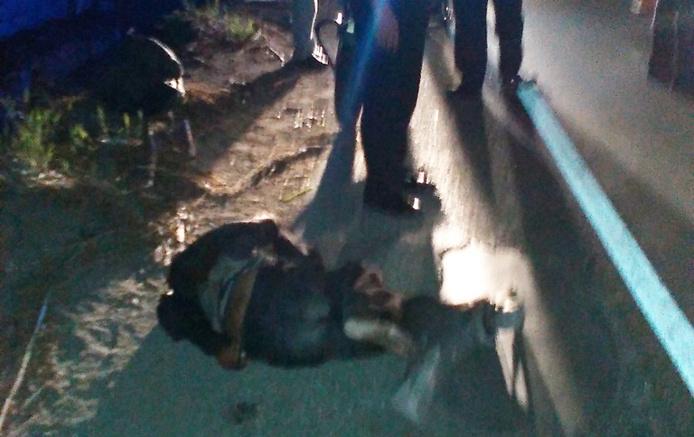 Serenos auxilian a anciano que fue atropellado y abandonado en la Av. Industrial