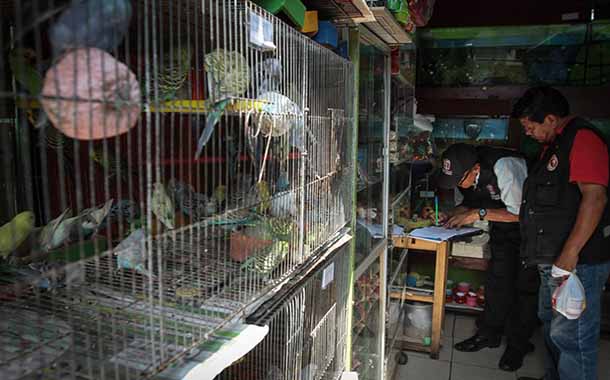 De 11 a 17 animales silvestres son incautados al mes en La Libertad