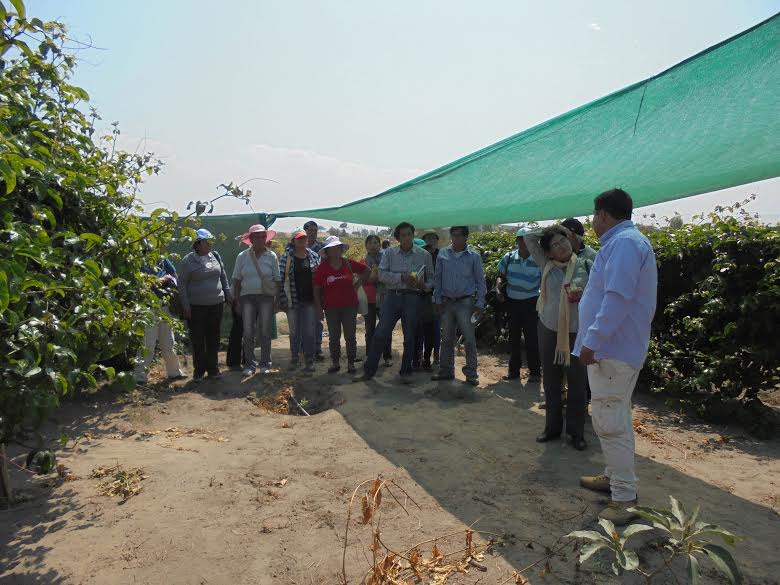 Chavimochic apoya a pequeños agricultores asociados de frutales