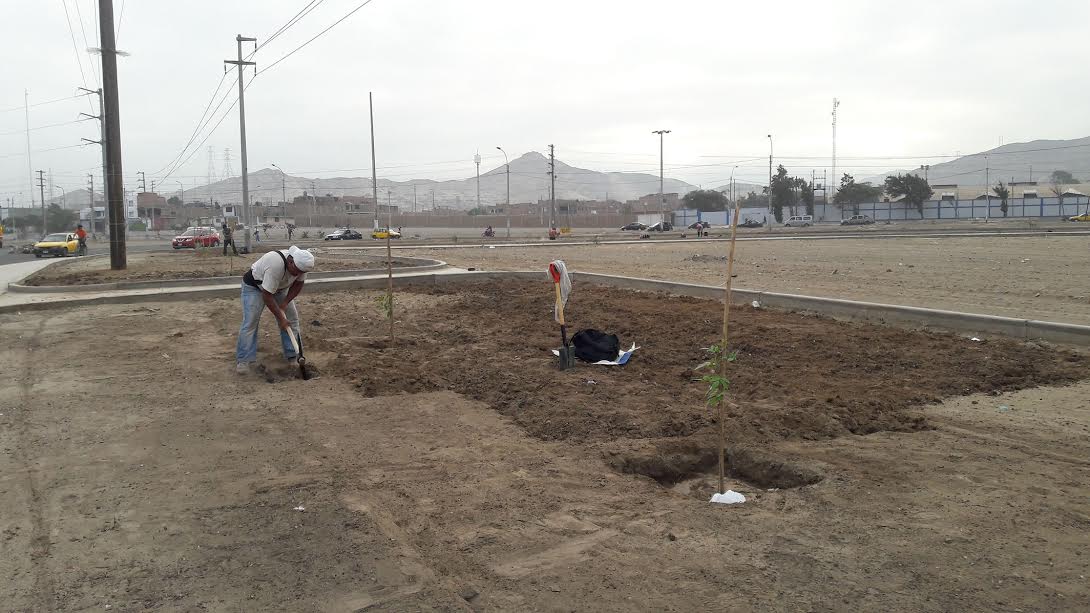 Chavimochic y municipio de La Esperanza realizarán obras de arborización en la entrada norte de Trujillo