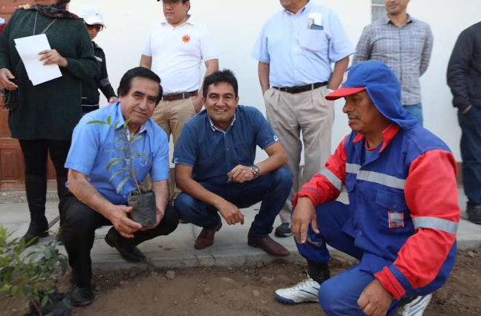 Víctor Larco: alcalde inicia arborización del distrito con especies donadas