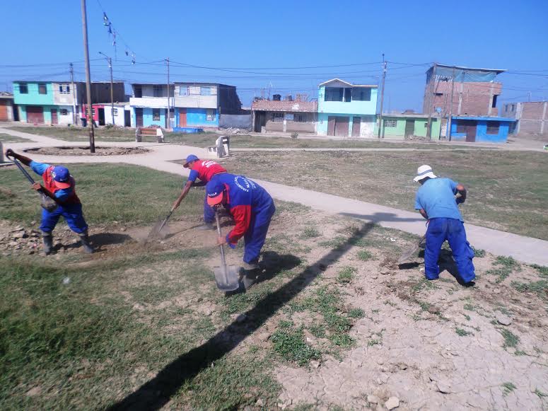Realizan labor de recuperación de parques y jardines en Víctor Larco
