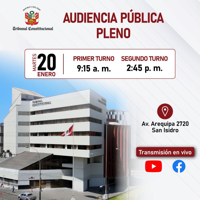 TC en pleno verá 14 causas este martes 20 de enero