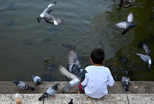 Congreso oficializa ley que regula la tenencia compartida