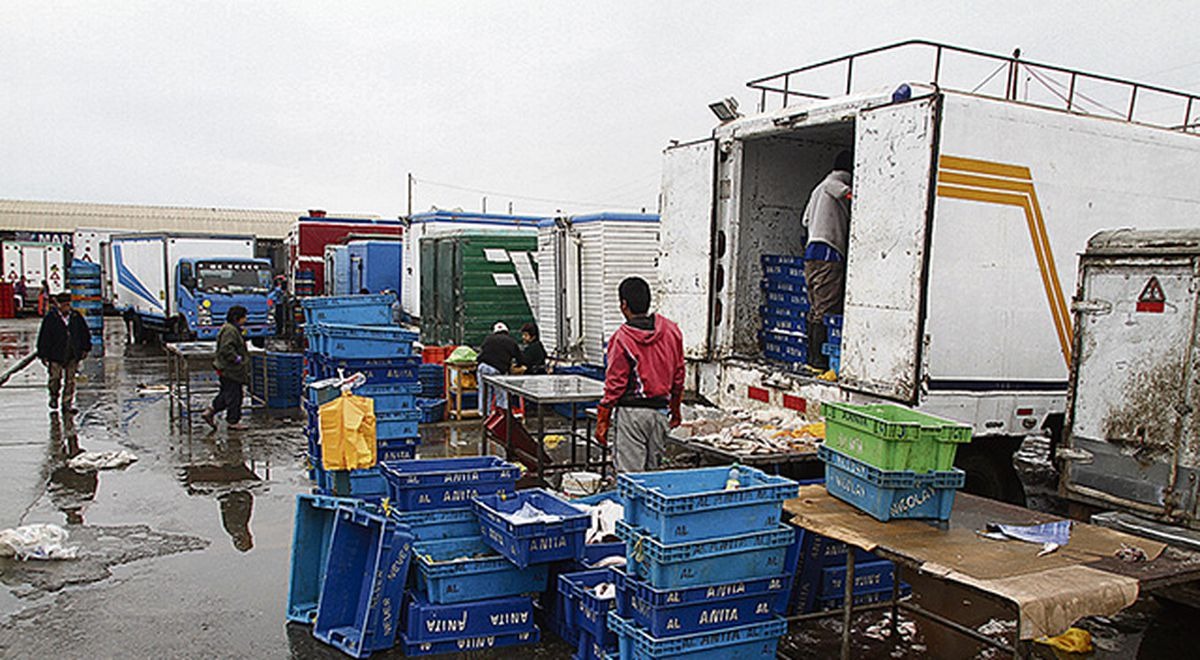 Venta de pescado se reduce en Trujillo por temor a contaminación de petróleo en Ventanilla