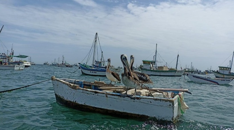 Docentes de Ciencias Biológicas de la UNT estudian ecosistemas del Perú y Ecuador